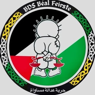 BDS Belfast logo